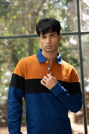 Men's thick Polo Tshirts/Sweaters
